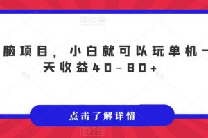 无脑项目，小白就可以玩单机一天收益40-80+
