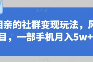 同城相亲的社群变现玩法，风口项目，一部手机月入5w+