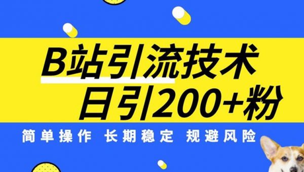 B站引流技术：每天引流200精准粉，简单操作，长期稳定，规避风险