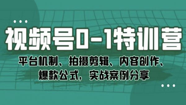 视频号0-1特训营：平台机制、拍摄剪辑、内容创作、爆款公式，实战案例分享