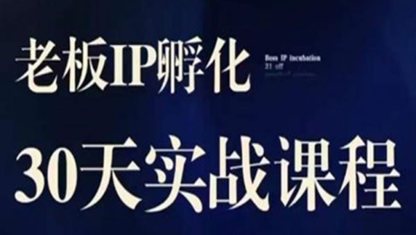 2023老板IP实战课