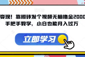 暴力变现！靠搬砖发个视频无脑撸金2000+！手把手教学，小白也能月入过万