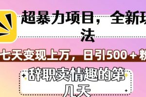 超暴利项目，全新玩法（辞职卖情趣的第几天），七天变现上万，日引500+粉