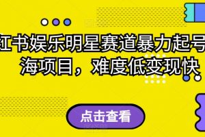 小红书娱乐明星赛道暴力起号，蓝海项目，难度低变现快