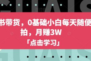小红书带货，0基础小白每天随便拍拍，月赚3W
