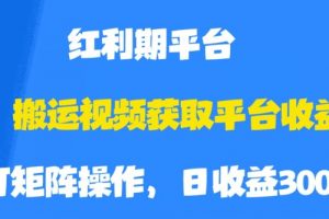 搬运视频获取平台收益，平台红利期，附保姆级教程