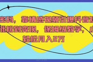 流量密码，靠情感视频引爆抖音短视频，涨粉到变现，保姆级教学，小白轻松月入2万