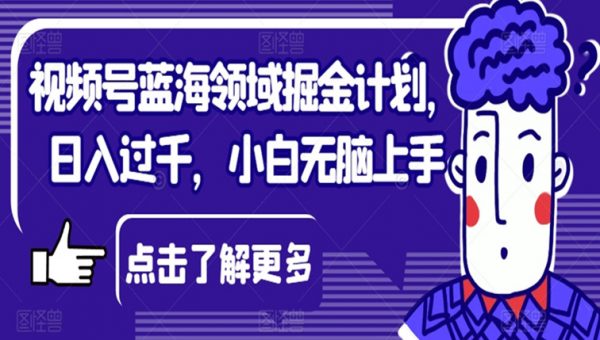 视频号蓝海领域掘金计划，日入过千，小白无脑上手