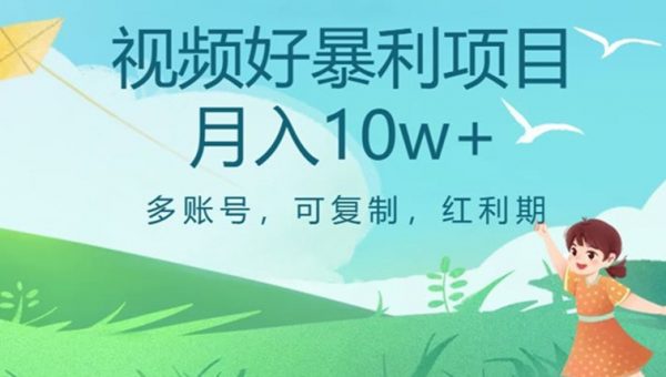 视频号暴利项目，多账号，可复制，红利期，月入10w+