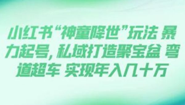 《小红书“神童降世”玩法 暴力起号》私域打造聚宝盆 弯道超车