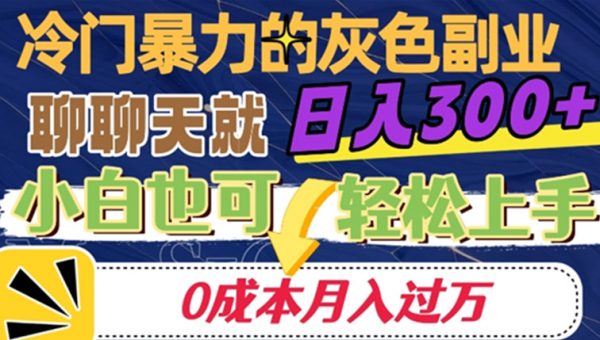 冷门暴利的副业项目，聊聊天就能日入300+，0成本月入过万