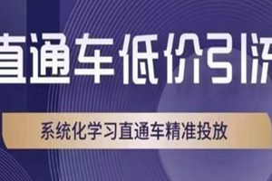 直通车低价引流课，系统化学习直通车精准投放
