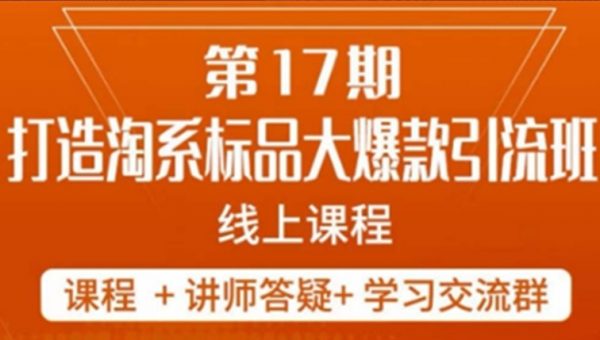 打造淘系标品大爆款