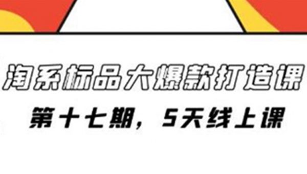 《淘系标品大爆款打造课》第十七期，5天线上课