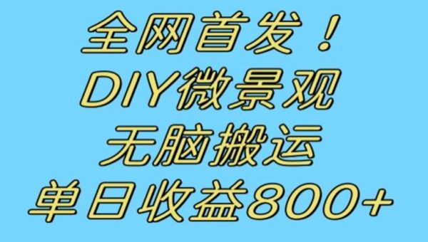 全网首发冷门赛道！DIY微景观，无脑搬运视频，日收益800+