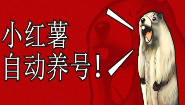 小红书养号秘籍，如何自动涨粉清晰系统标签打造高权重账号