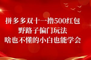 拼多多双十一撸500红包野路子偏门玩法，啥也不懂的小白也能学会