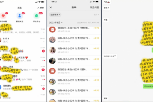 单人日入200+，适合宝妈上班族，小红书小众蓝海项目（附保姆级教程）