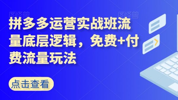 拼多多运营实战班流量底层逻辑，免费+付费流量玩法