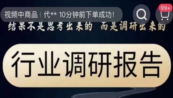 行业调研报告