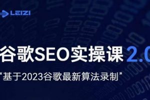 雷子·谷歌SEO 2.0实战课，独立站询盘自由必备，基于2023谷歌最新算法录制