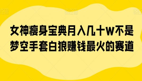 女神瘦身宝典月入几十W不是梦空手套白狼赚钱最火的赛道