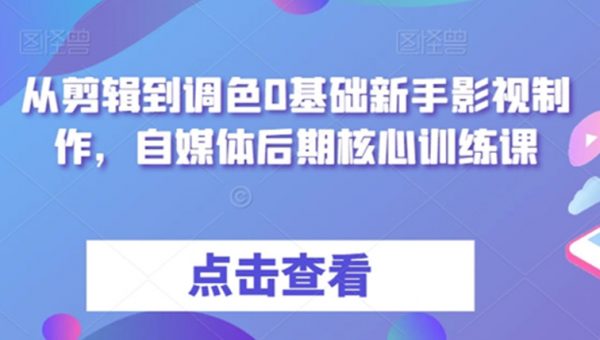 从剪辑到调色0基础新手影视制作，自媒体后期核心训练课