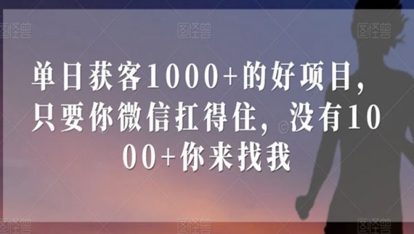 单日获客1000+的好项目，只要你微信扛得住，没有1000+你来找我