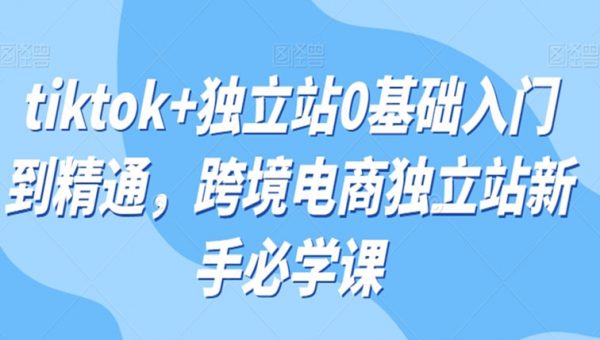 tiktok+独立站0基础入门到精通，跨境电商独立站新手必学课