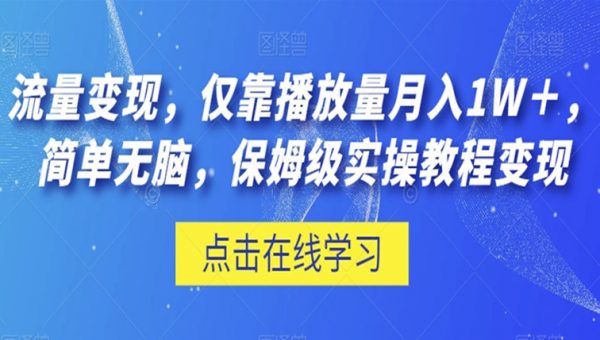 流量变现，仅靠播放量月入1W＋，简单无脑，保姆级实操教程