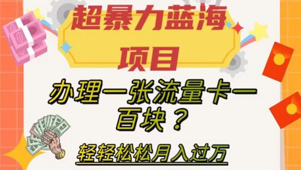超暴力蓝海项目，办理一张流量卡一百块？轻轻松松月入过万，保姆级教程