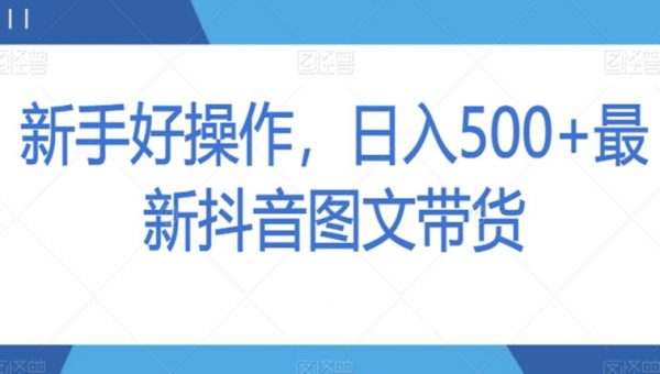 新手好操作，日入500+最新抖音图文带货