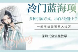 冷门蓝海项目，操作简单，小白3分钟上手，多种引流方式，保姆式全流程教学