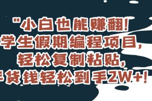 小白也能赚翻！学生假期编程项目，轻松复制粘贴，年货钱轻松到手2W+