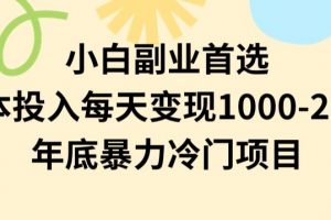 小白副业首选，0成本投入，每天变现1000-2000年底暴力冷门项目