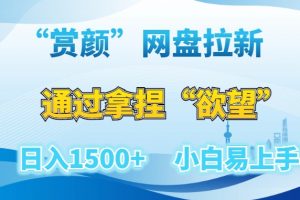 “赏颜”网盘拉新赛道，通过拿捏“欲望”日入1500+，小白易上手