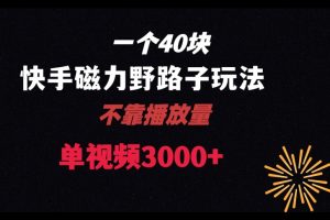 一个40块，快手联合美团磁力新玩法，无视机制野路子玩法，单视频收益4位数