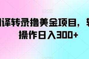 翻译转录撸美金项目，轻松操作日入300+