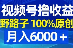 视频号野路子撸收益，100%原创，条条爆款，月入6000＋