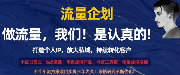 流量企划，打造个人IP，放大私域，持续转化客户