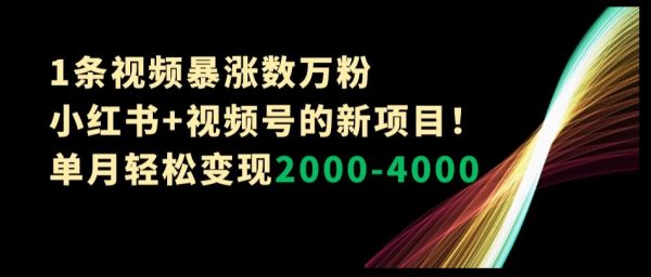 小红书+视频号的新项目！单月轻松变现2000-4000