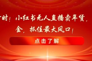 新春倒计时！小红书无人直播卖年货，无货源撸金，抓住最大风口