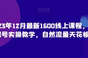 帝23年12月最新1600线上课程，0粉起号实操教学，自然流量天花板