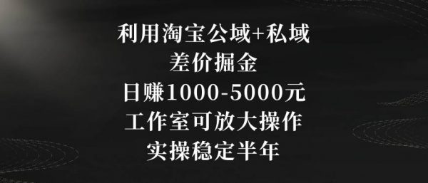 利用淘宝公域+私域差价掘金，日赚1000-5000元，工作室可放大操作，实操稳定半年