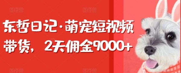 东哲日记《萌宠短视频带货》2天佣金9000+