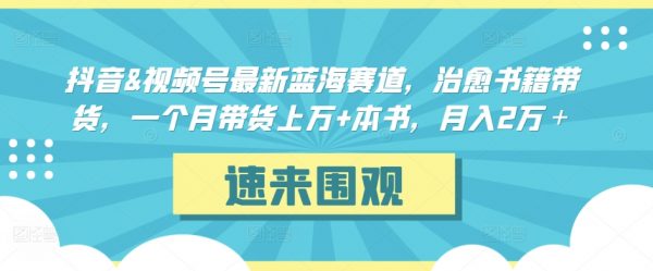 抖音&视频号最新蓝海赛道，治愈书籍带货，月入2万＋