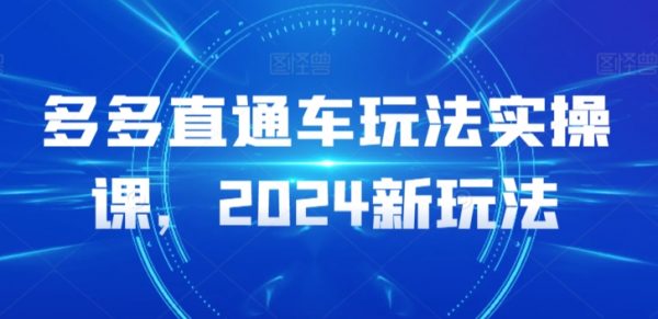 2024新玩法，多多直通车玩法实操课