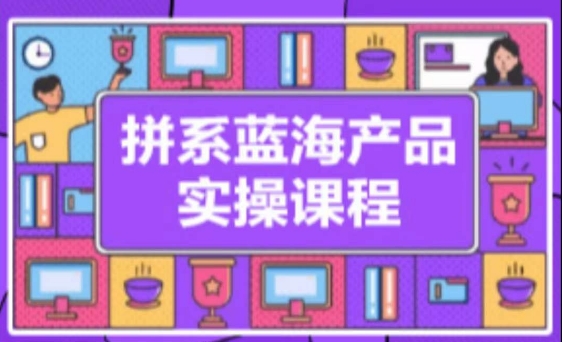 《拼系冷门蓝海产品实操课程》从店铺注册-选品上架-流量维护