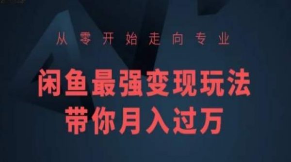 闲鱼最强变现玩法，从零开始走向专业，带你月入过万