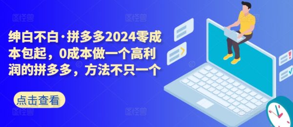 拼多多2024零成本包起，做一个高利润的拼多多，方法不只一个